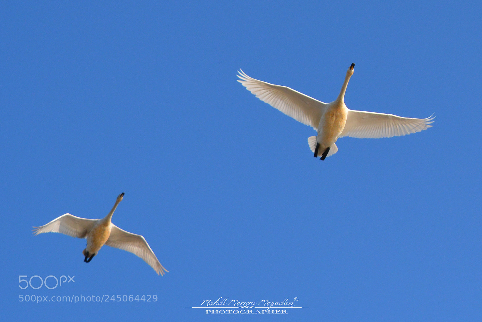 Nikon D5200 sample photo. Flight photography