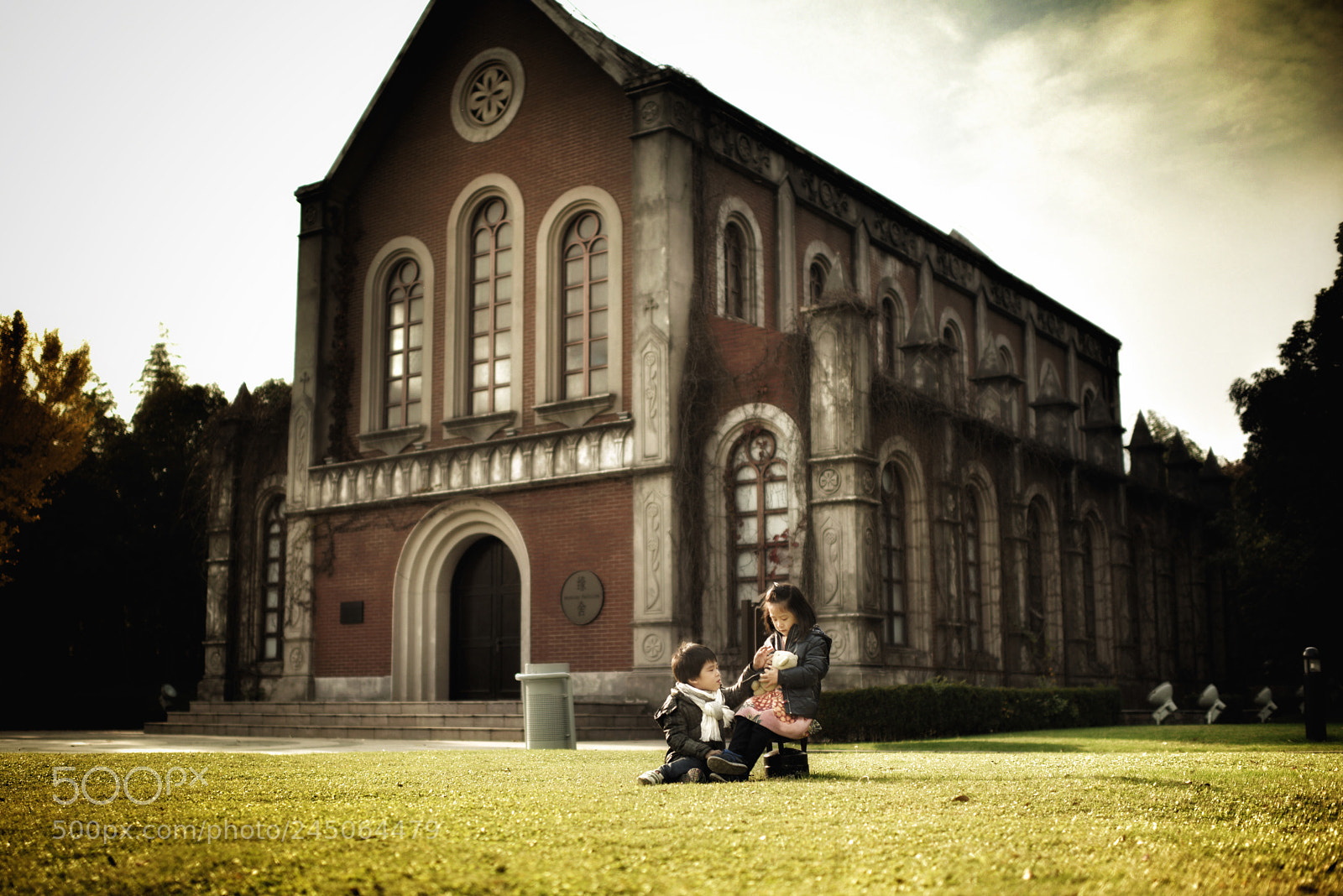 Nikon D810 sample photo. Untitled photography