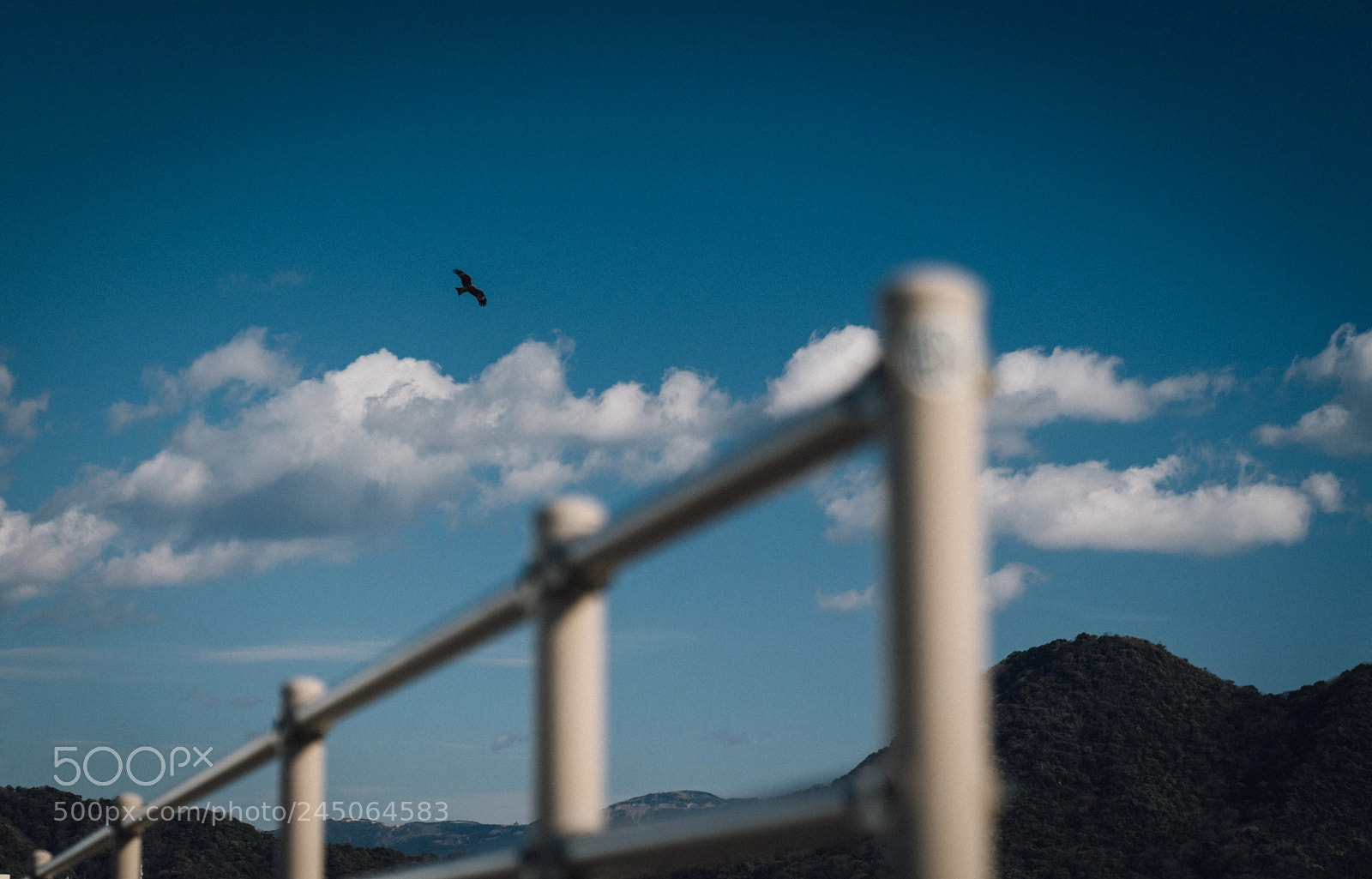 Sony a7R III sample photo. Untitled photography