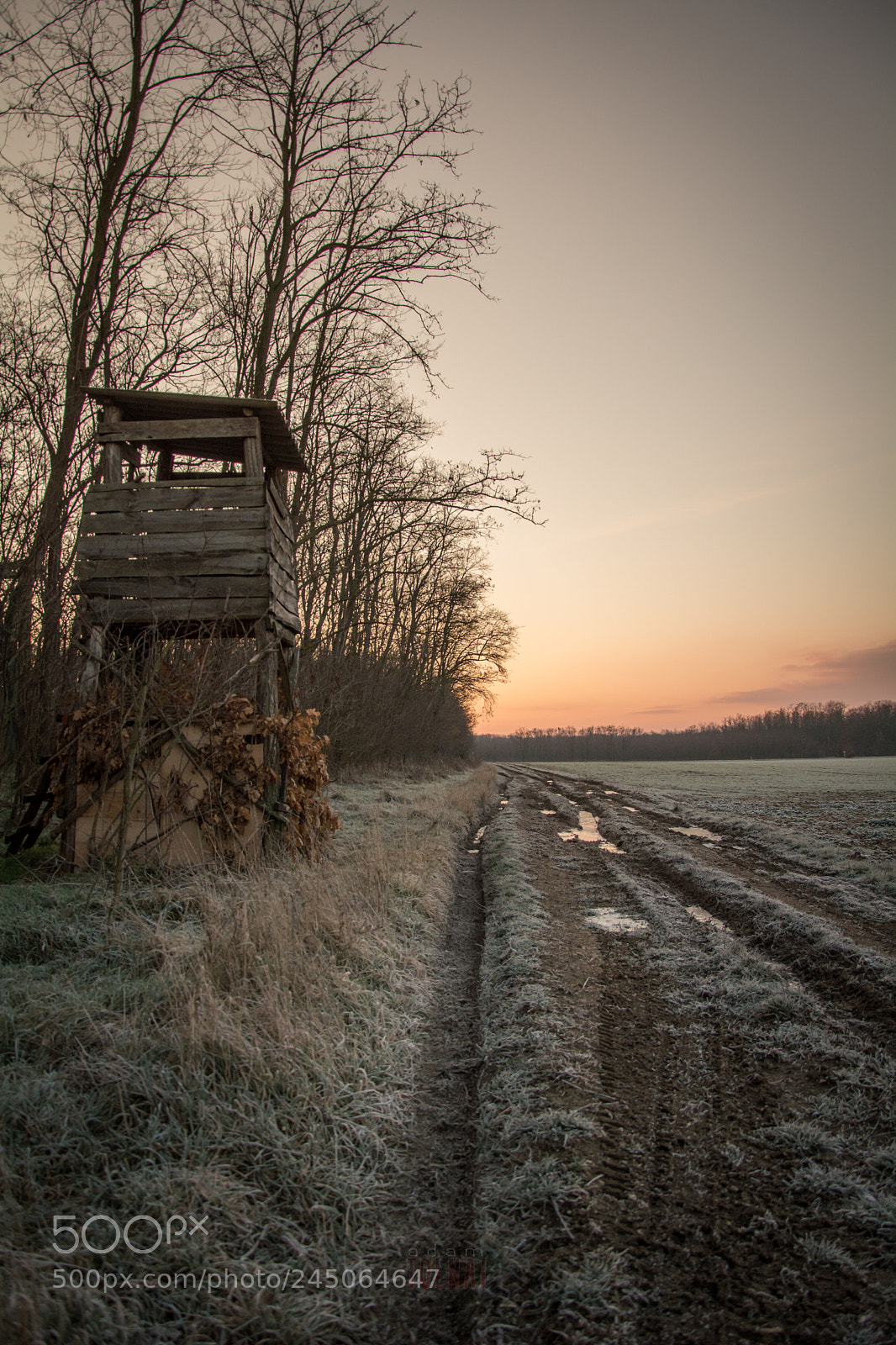 Nikon D7100 sample photo. Sunrise. photography