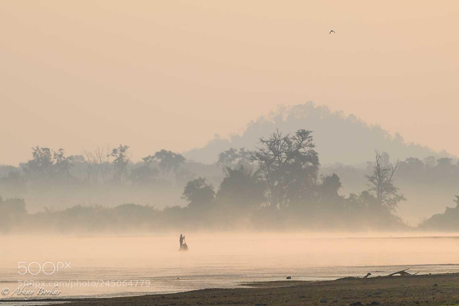 Nikon D5 sample photo. Morning photography