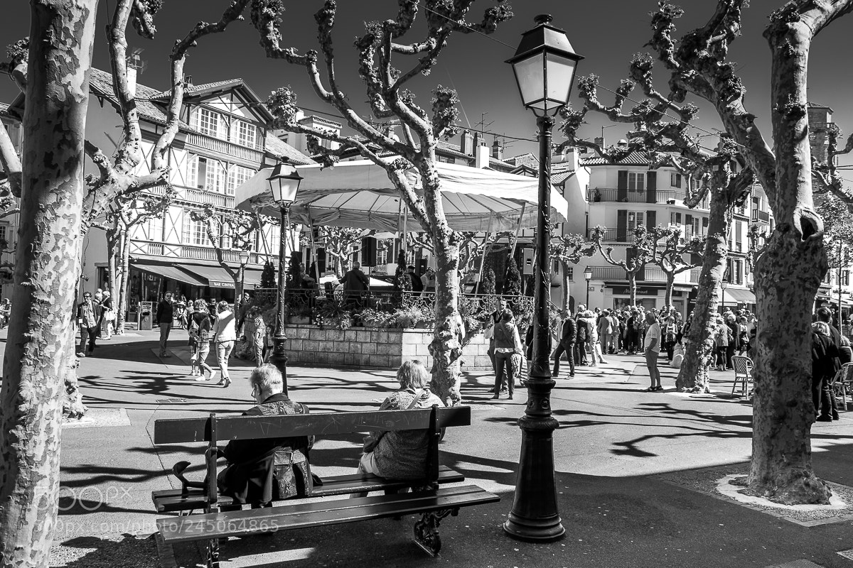 Nikon D5500 sample photo. Le kiosque à musique. photography
