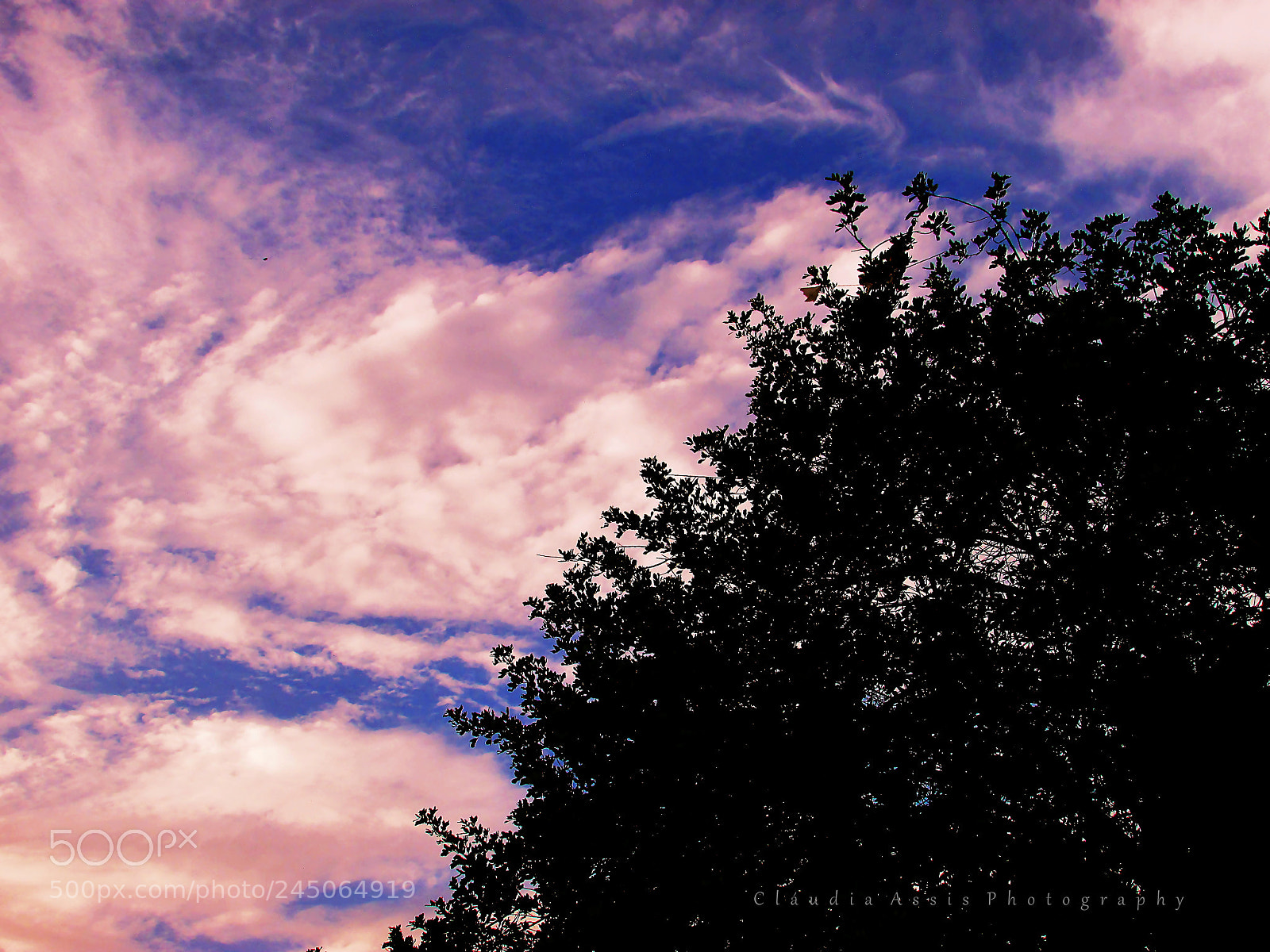 Canon PowerShot SX400 IS sample photo. * universo natural * photography