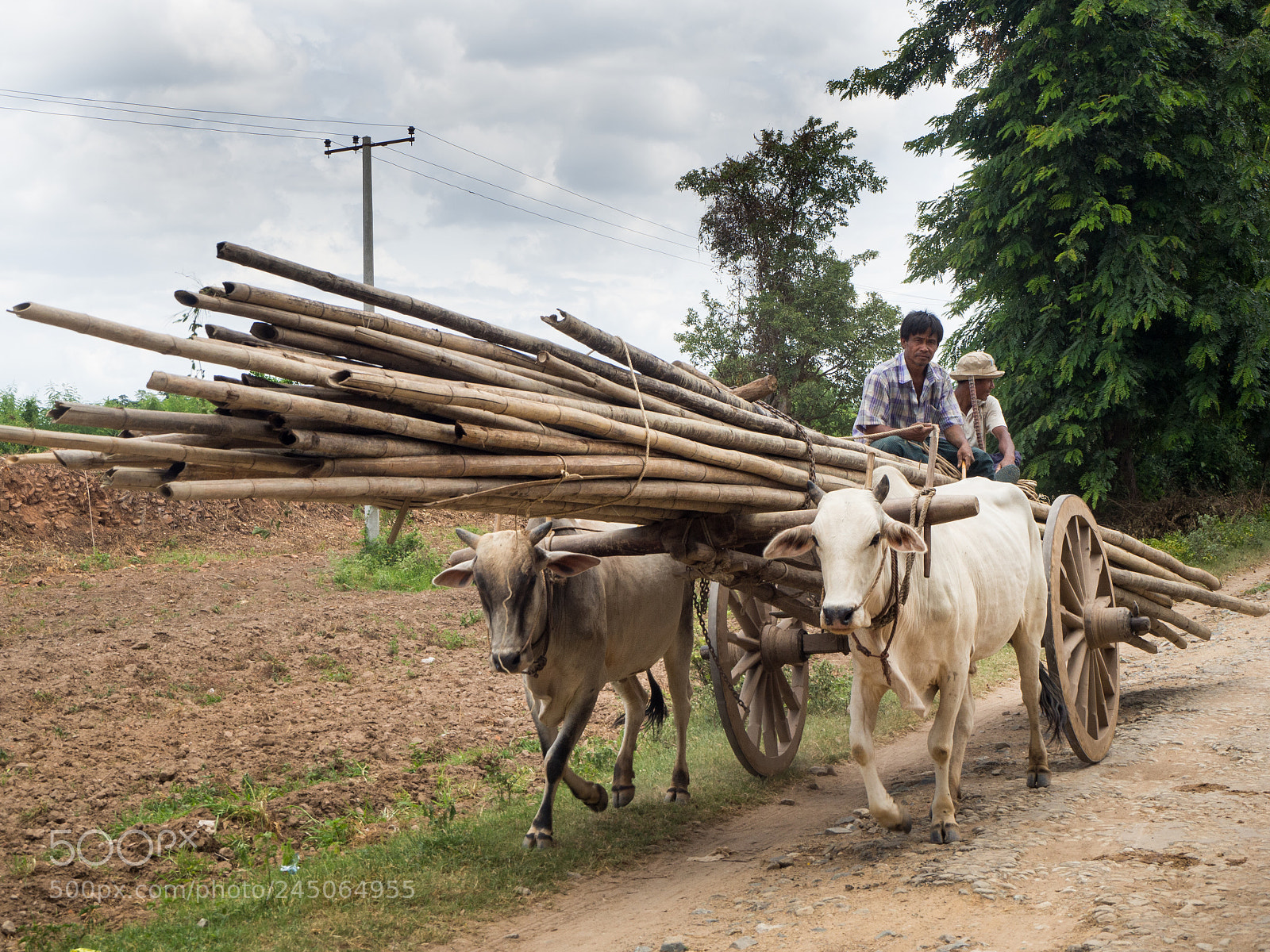Olympus OM-D E-M10 sample photo. Myanmar way photography