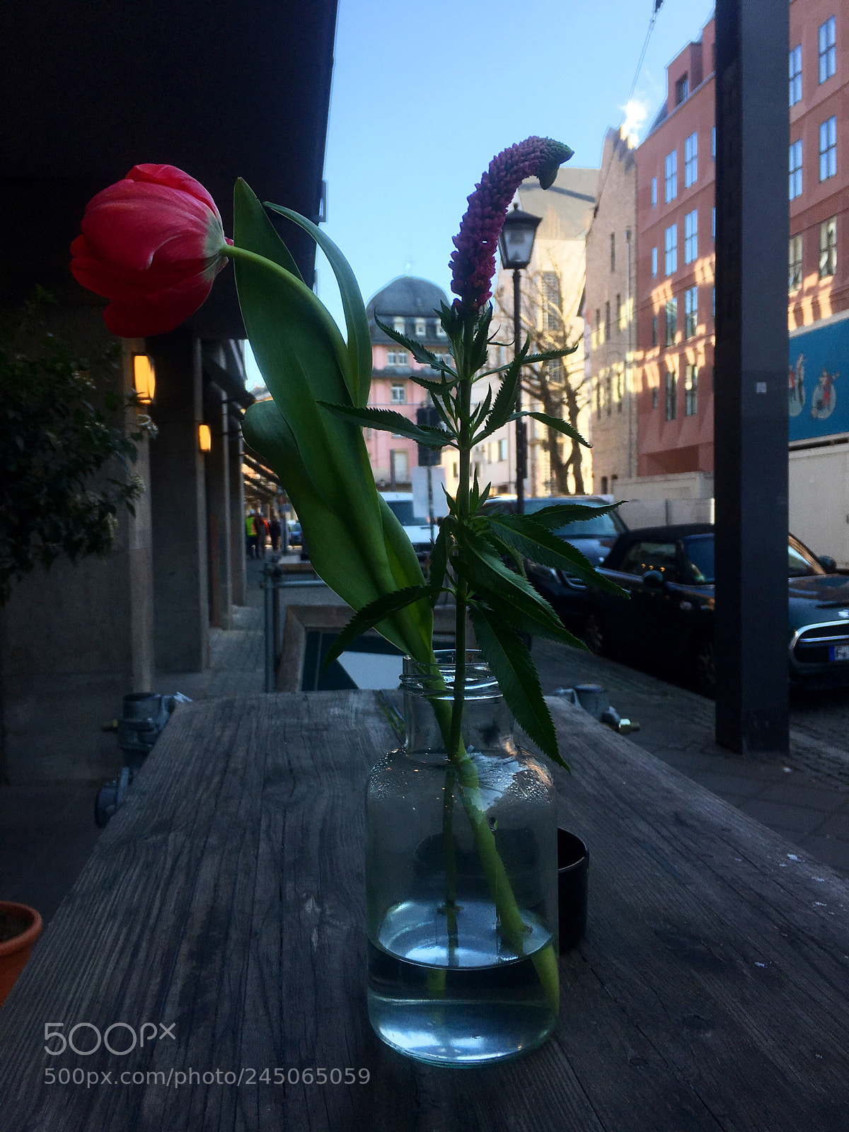 Apple iPhone 6s sample photo. Beautiful colors, shapes, surfaces... photography