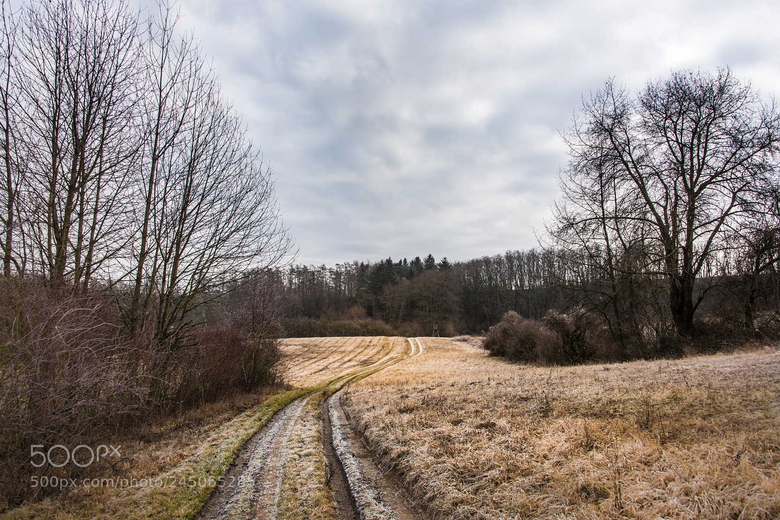 Nikon D810 sample photo. Pranhartsberg, lower austria photography