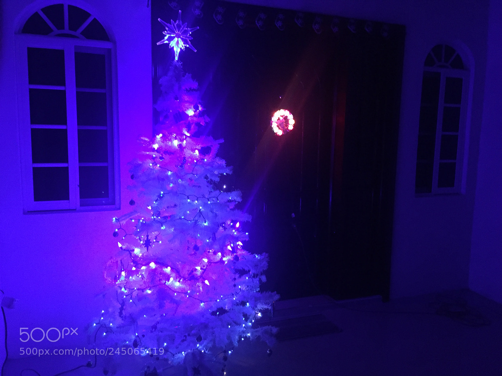 Apple iPhone 6 sample photo. Last christmas ? photography