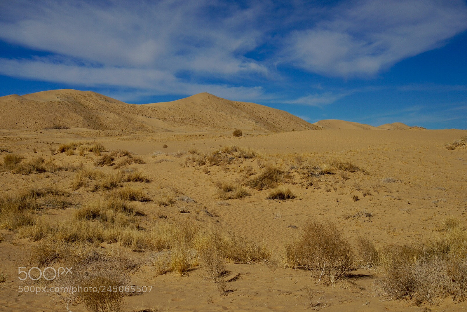 Sony a7 II sample photo. Yellow and blue photography