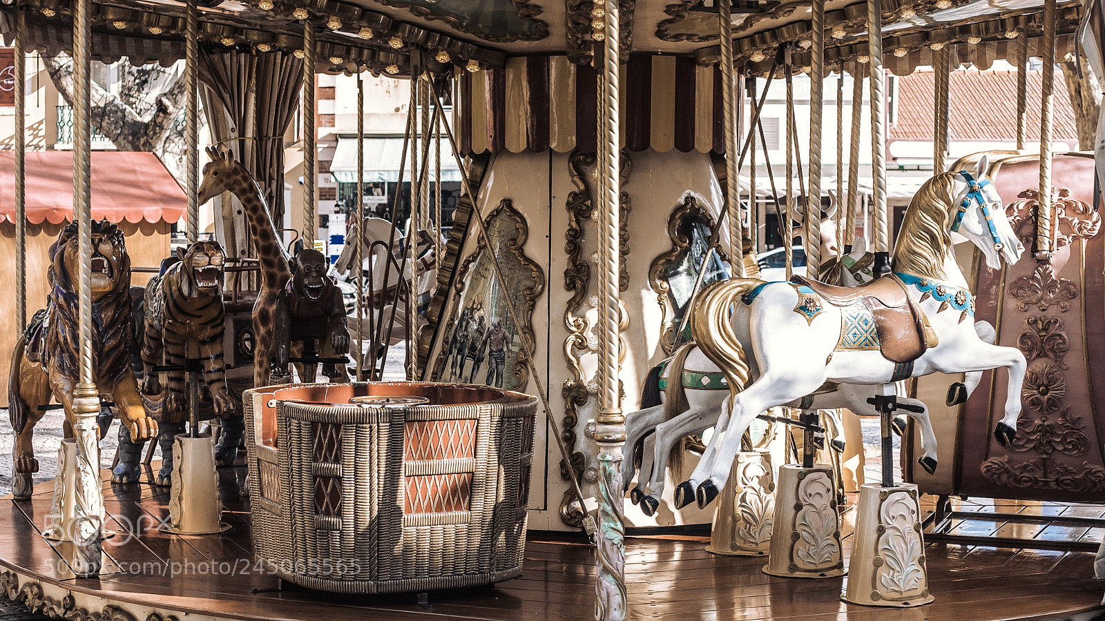 Canon EOS 5D sample photo. Carousel is ageless photography