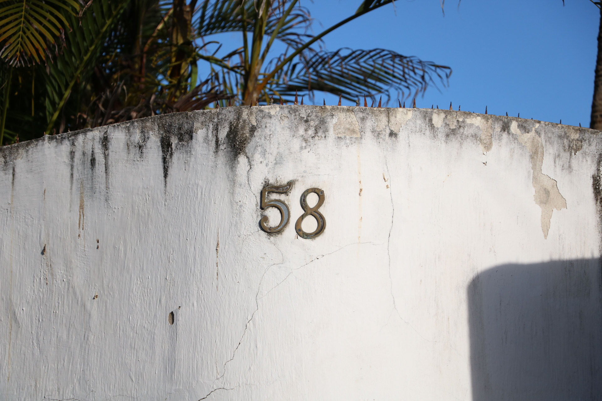 Canon EOS 750D (EOS Rebel T6i / EOS Kiss X8i) sample photo. 58 photography