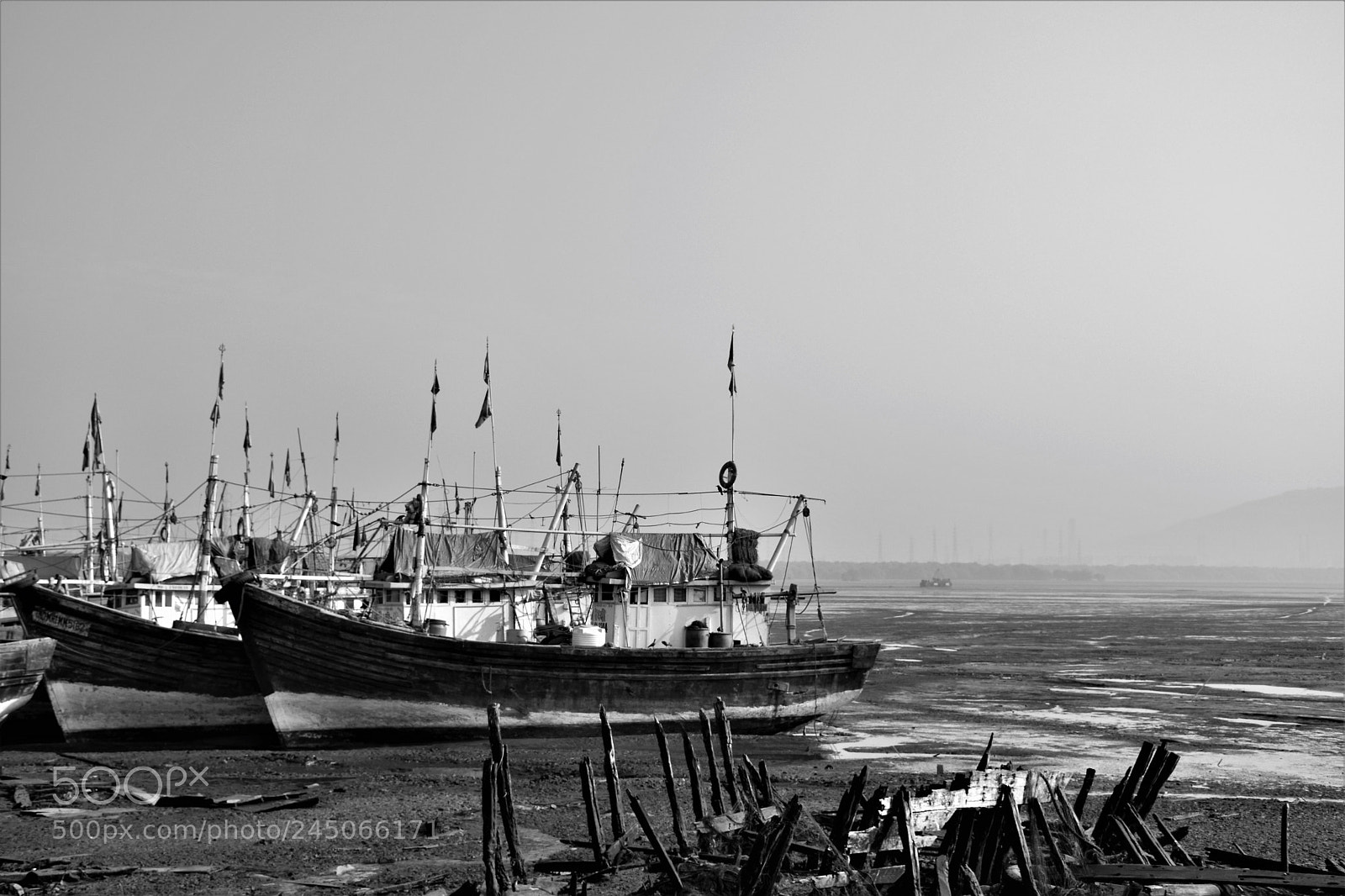 Nikon D7200 sample photo. Silence photography