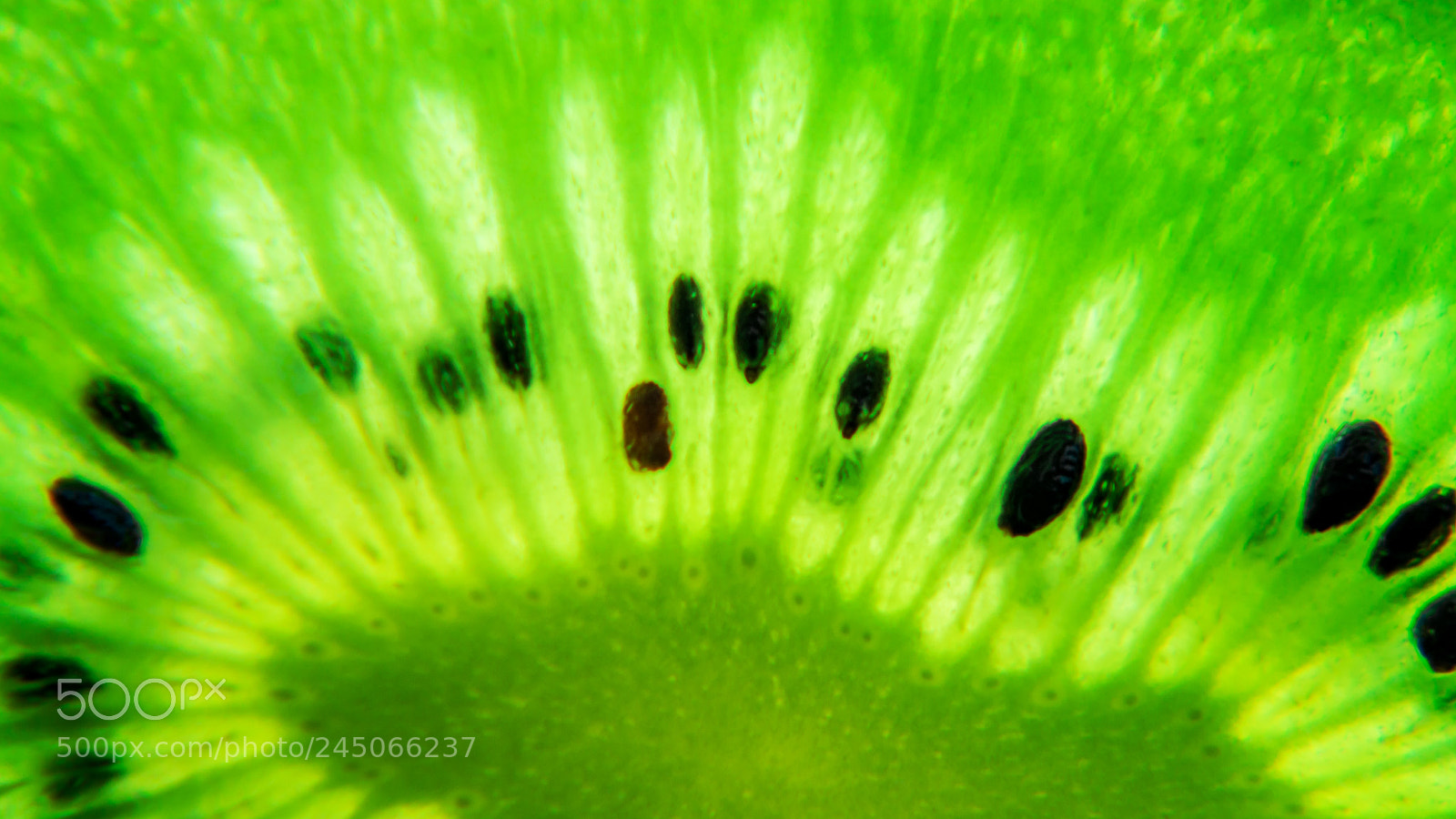 Nikon D3200 sample photo. Kiwi freshness photography