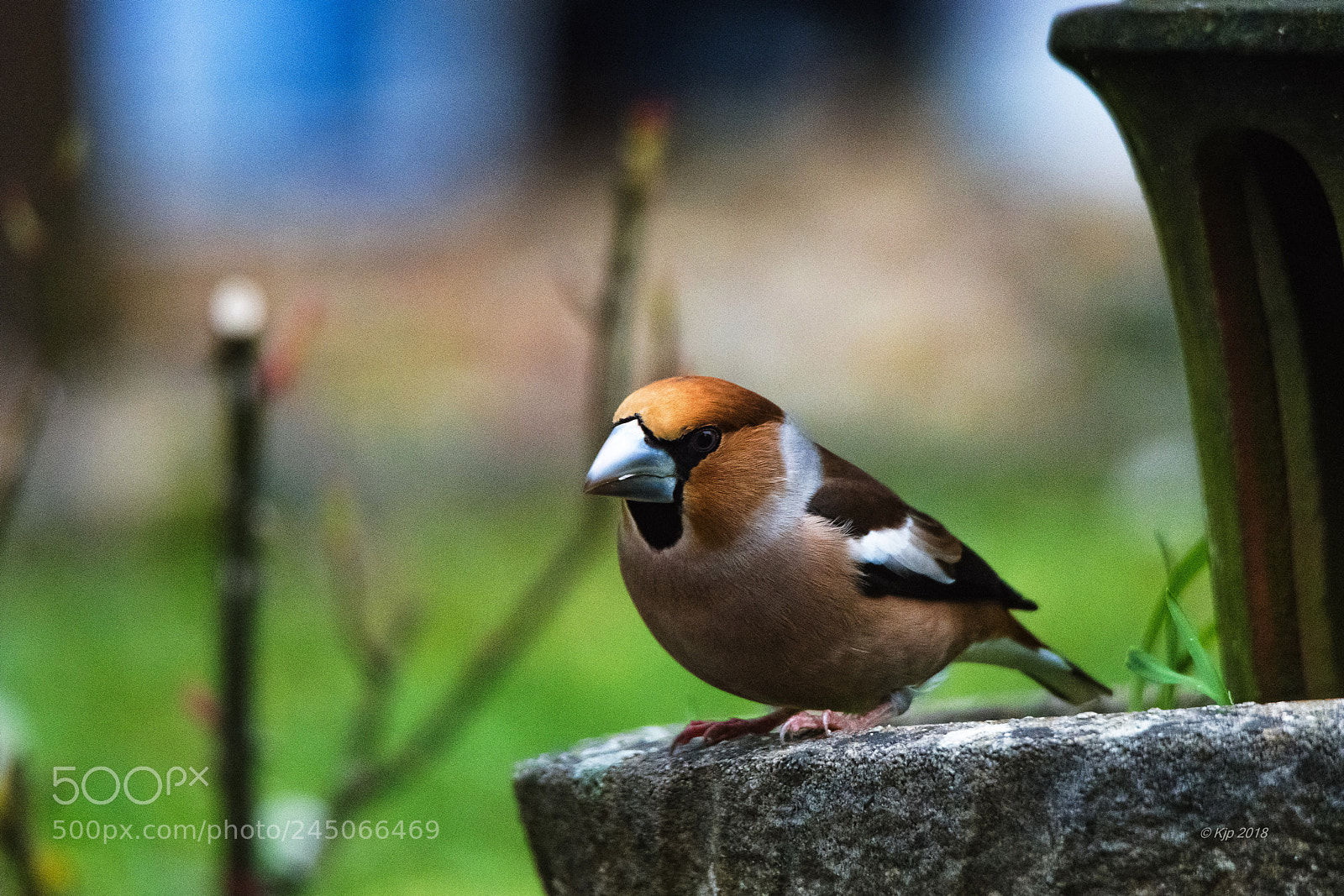Nikon D850 sample photo. 8a0_6607-2_0.jpg photography