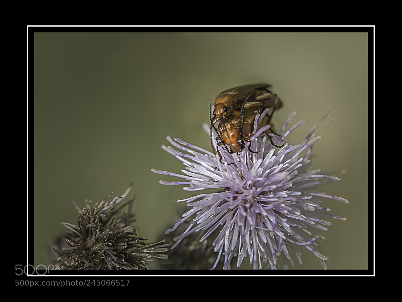 Nikon D7100 sample photo. Yippee it s nearly photography