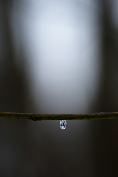 Tamron SP AF 90mm F2.8 Di Macro sample photo. Ice drop photography