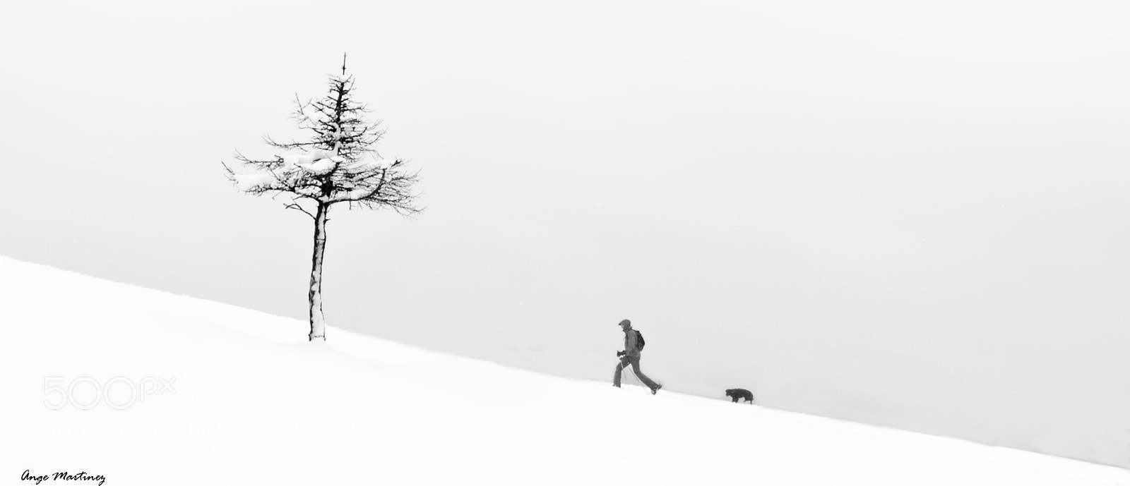 Nikon D600 sample photo. Nieve photography