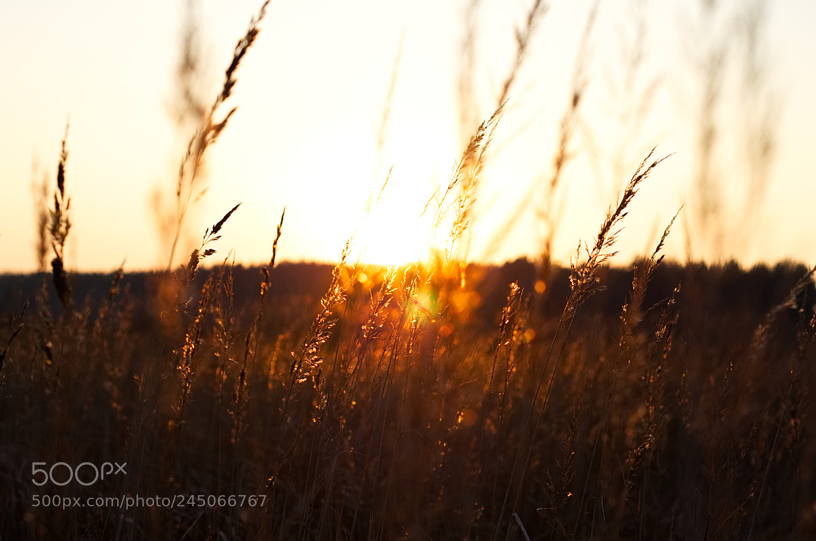 Pentax K-30 sample photo. N photography