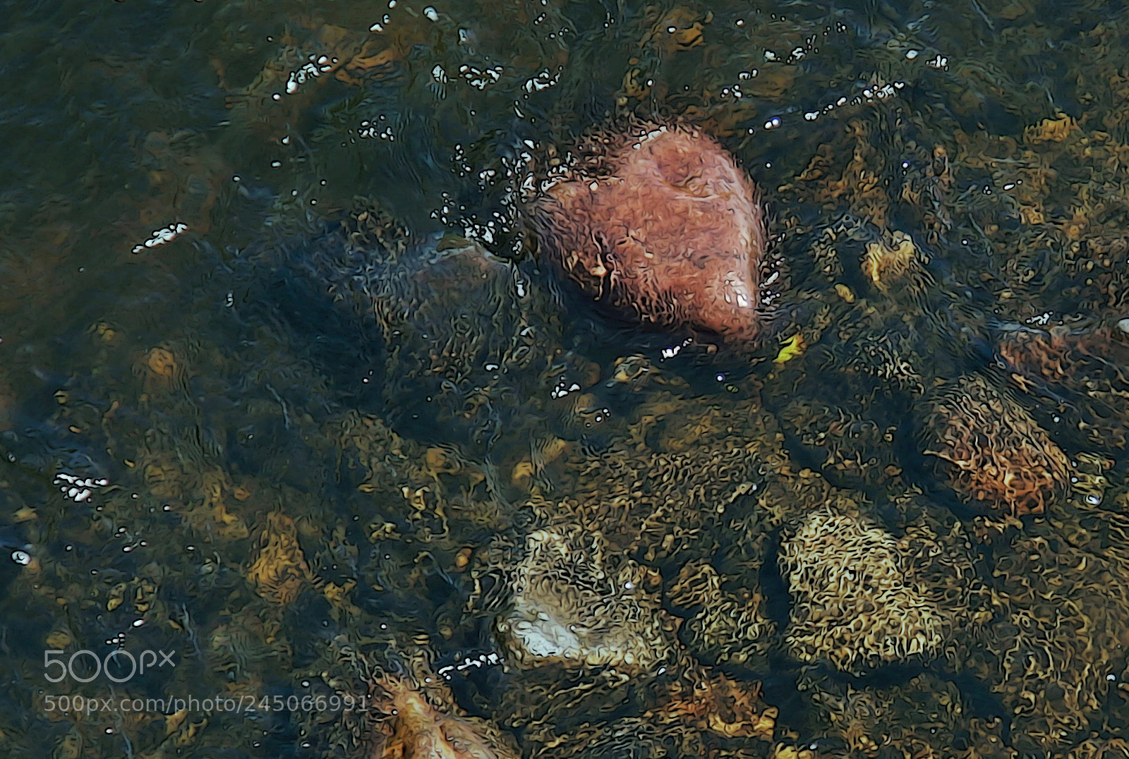Canon EOS 700D (EOS Rebel T5i / EOS Kiss X7i) sample photo. Heart of stone photography