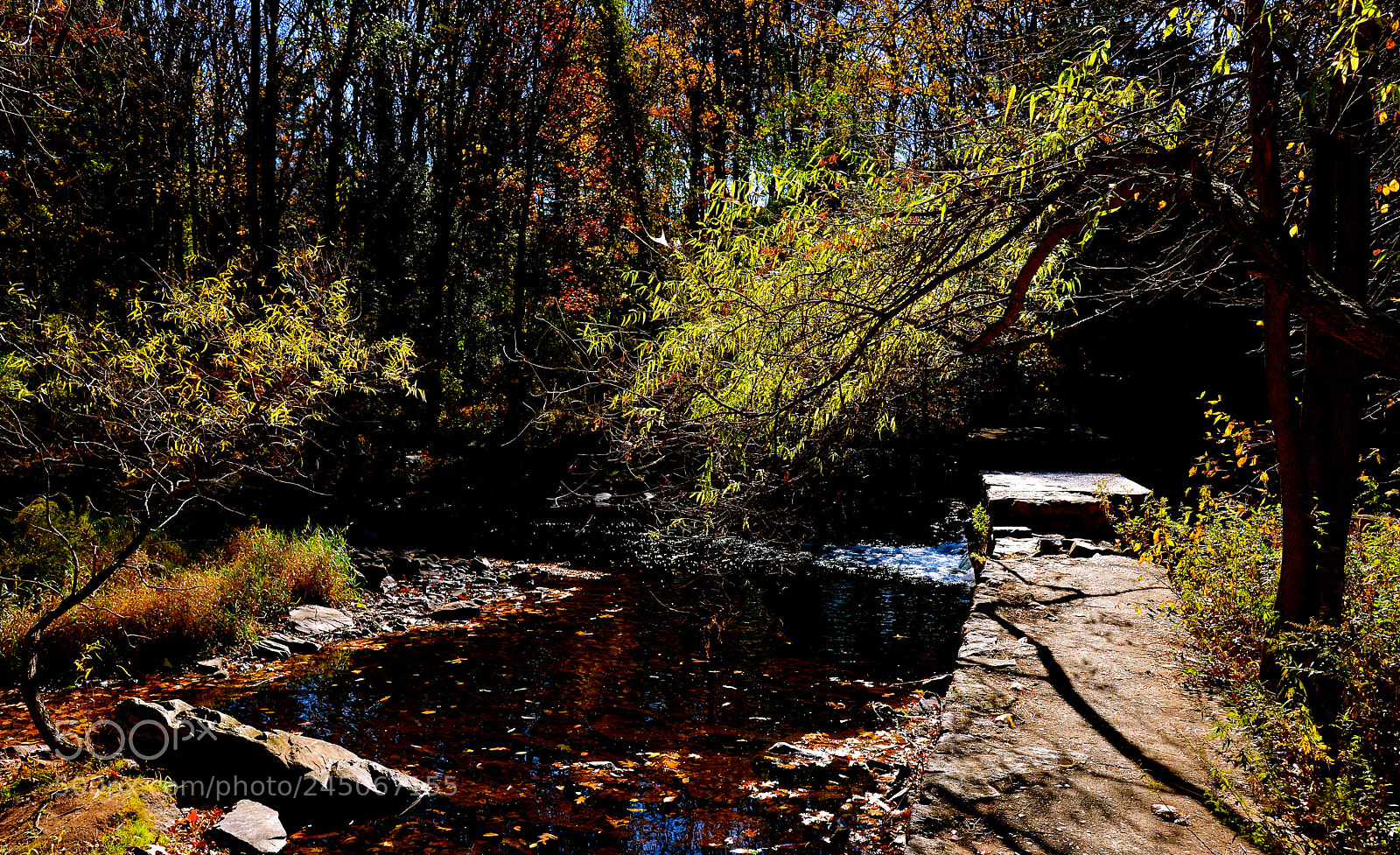 Nikon D600 sample photo. Autumn on the mill photography