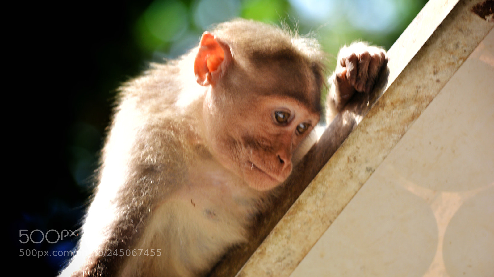 Nikon D5200 sample photo. With feelings photography