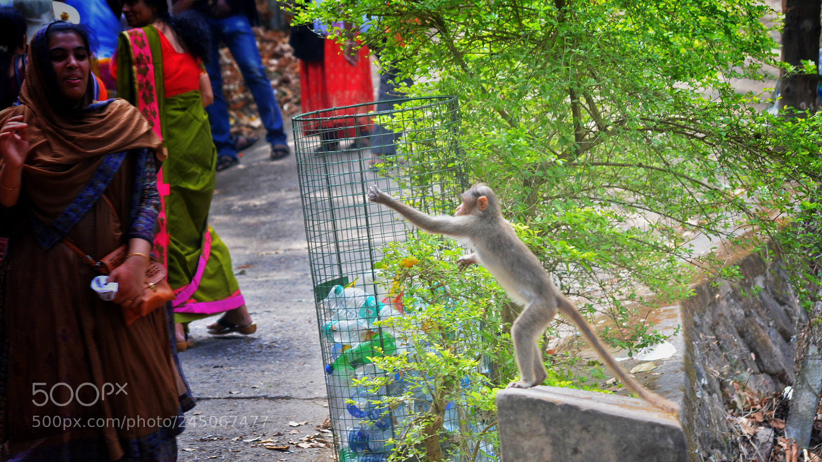 Nikon D5200 sample photo. Share it photography