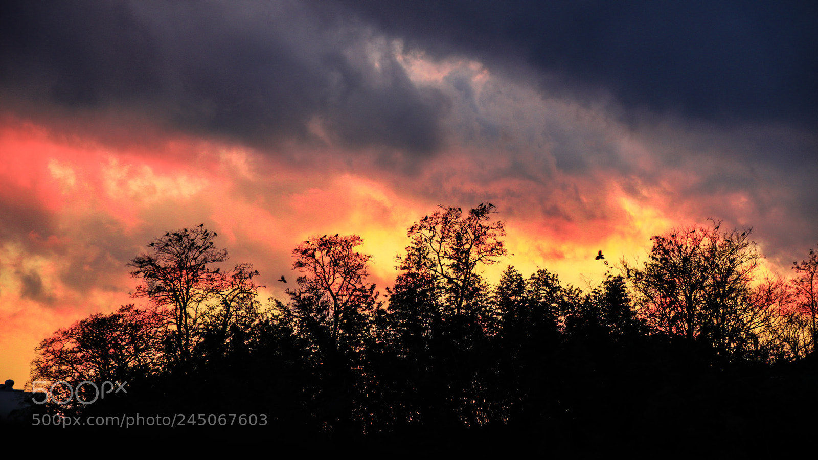 Canon EOS 77D (EOS 9000D / EOS 770D) sample photo. Untitled photography