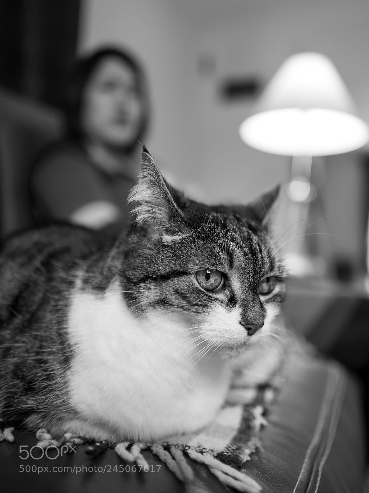 Leica Q (Typ 116) sample photo. Le gardien photography