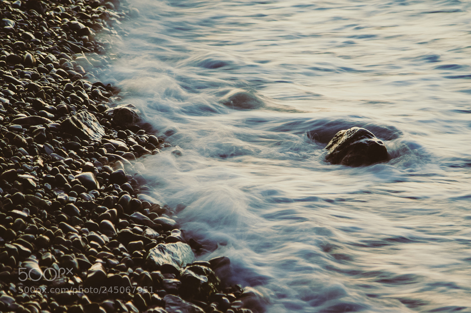 Canon EOS-1D Mark II sample photo. Untitled photography