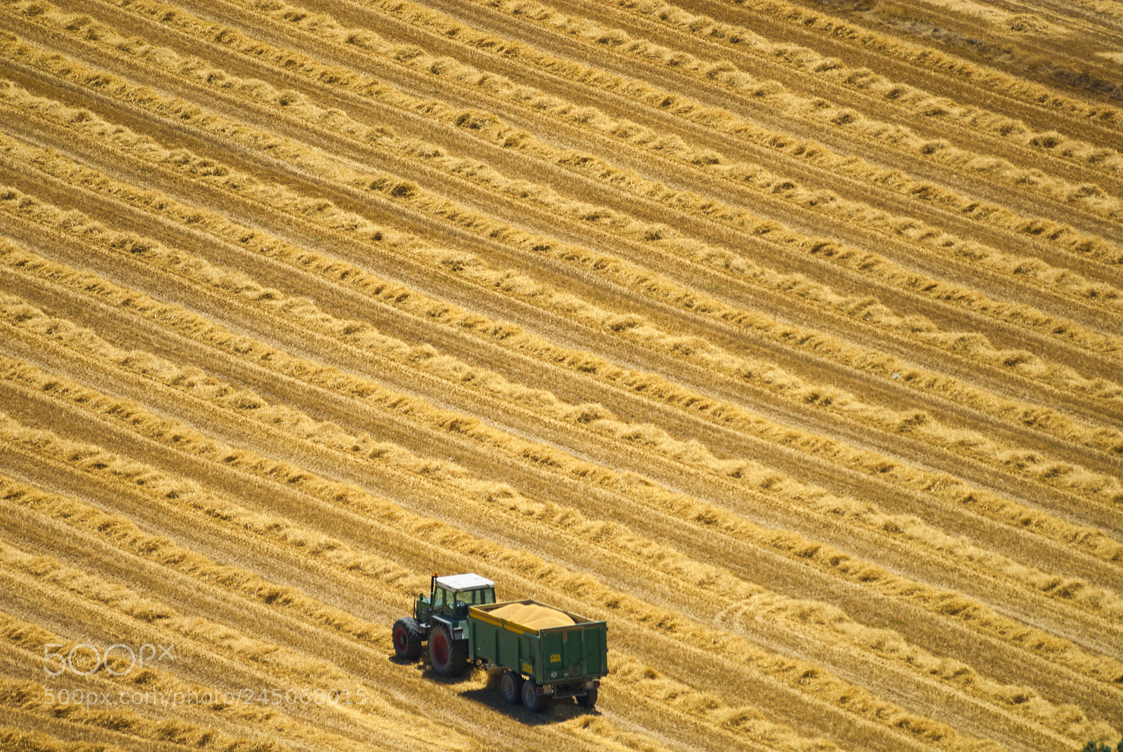 Nikon D200 sample photo. Country landscape from cervera photography