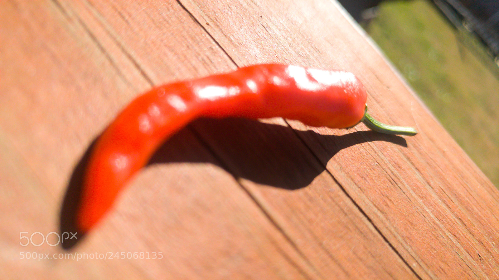 LG G5 sample photo. Cayenne pepper photography
