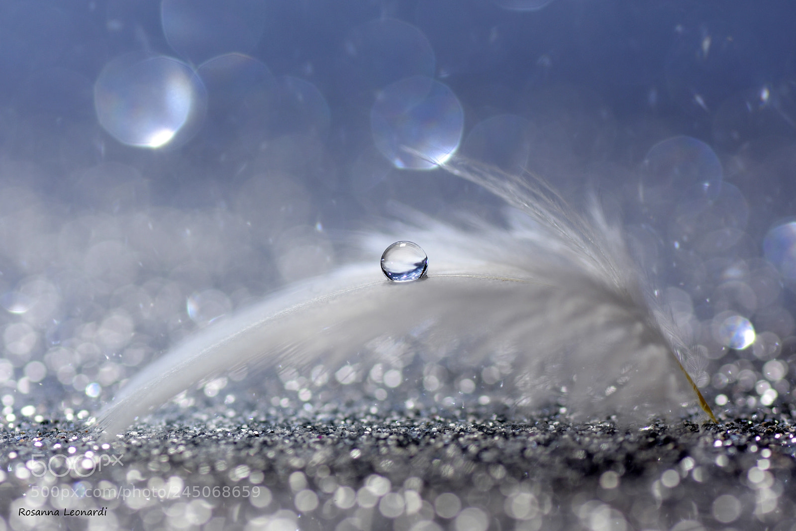 Nikon D7200 sample photo. My little magical world photography