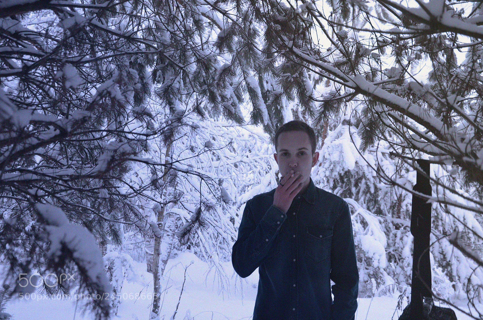 Nikon D5100 sample photo. Winter photography