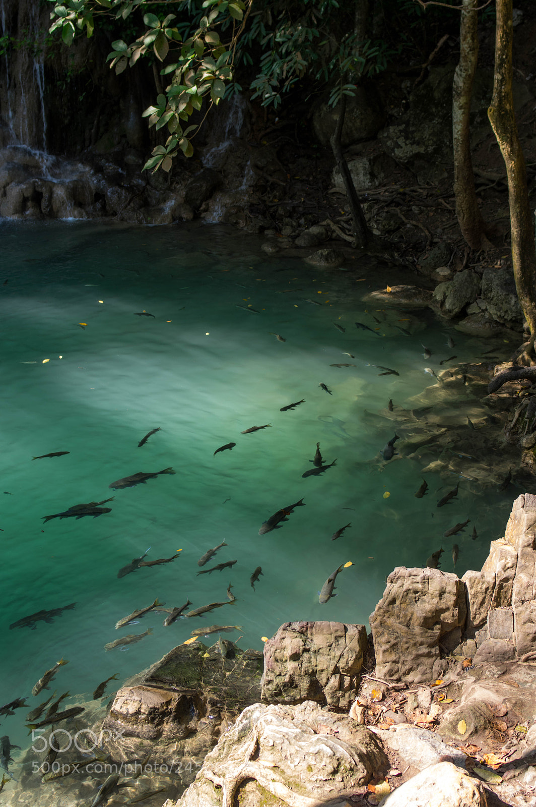 Pentax K-3 sample photo. Kanchanaburi - erawan national photography