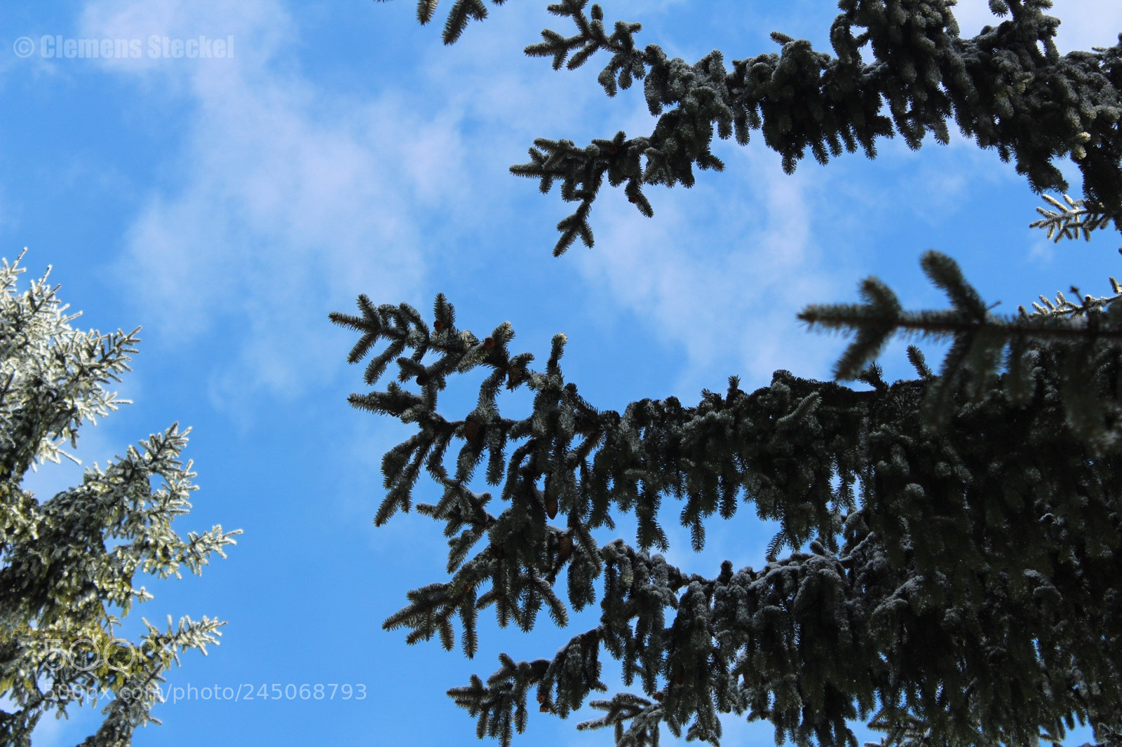 Canon EOS 1300D (EOS Rebel T6 / EOS Kiss X80) sample photo. Winter sky photography