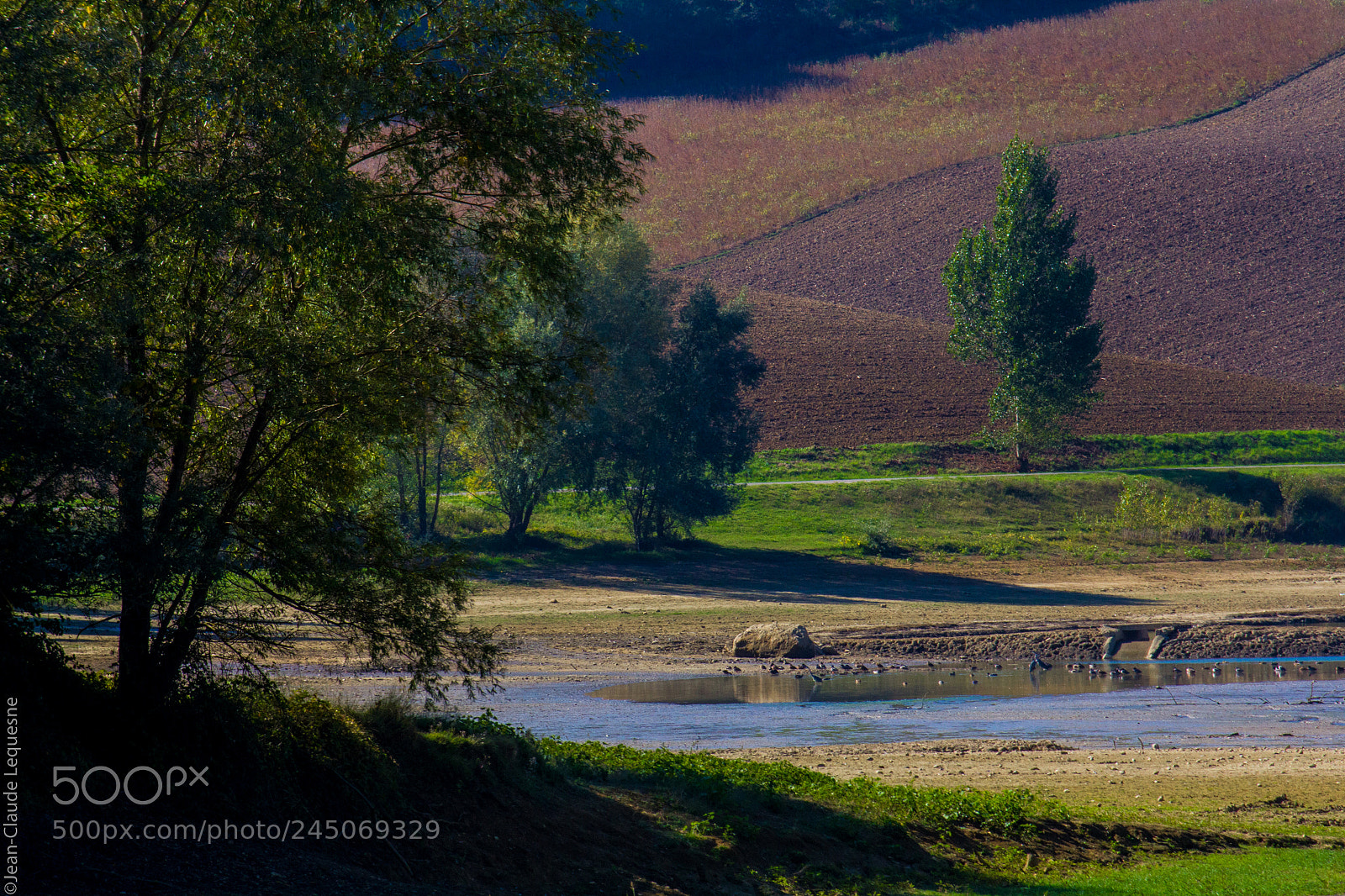 Canon EOS 60D sample photo. Autour du lac 14 photography