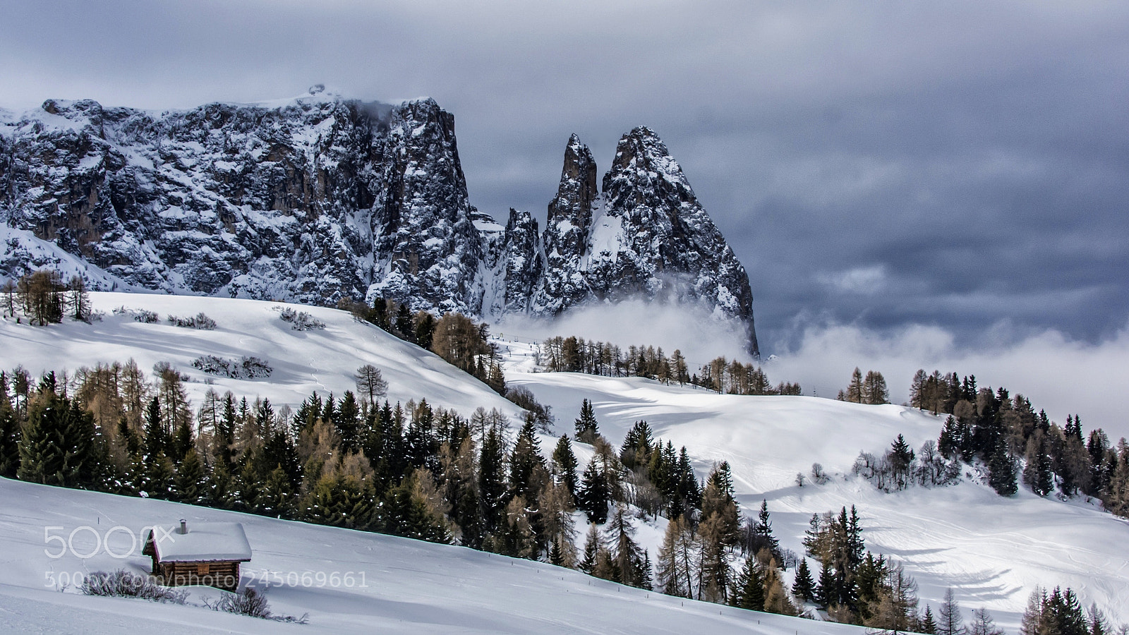 Nikon D7100 sample photo. Winter day in the photography