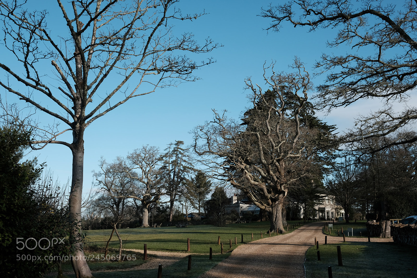 Fujifilm X-Pro2 sample photo. The pig hotel photography
