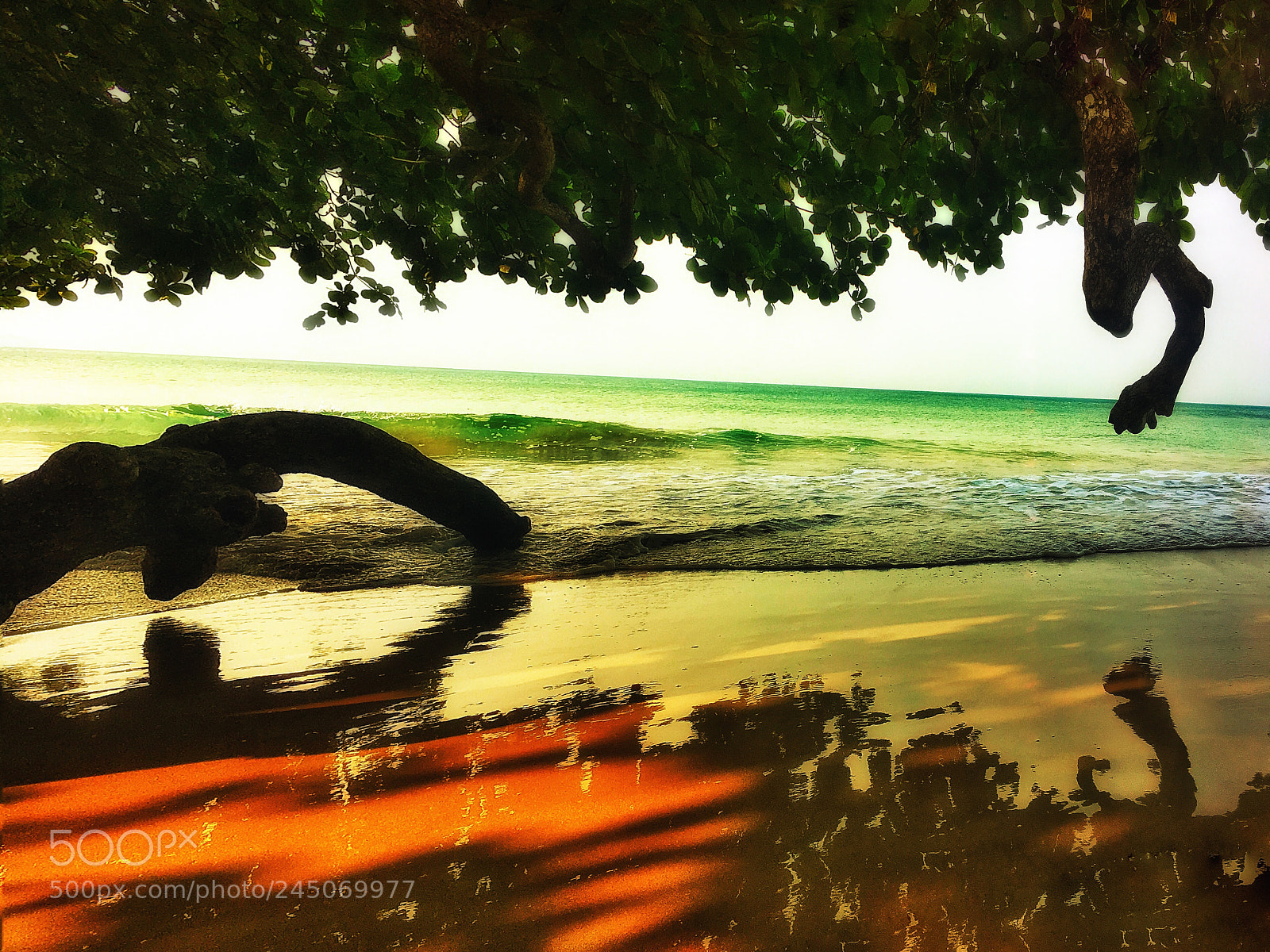 Apple iPhone 6s Plus sample photo. #kohchang #thailand #island photography