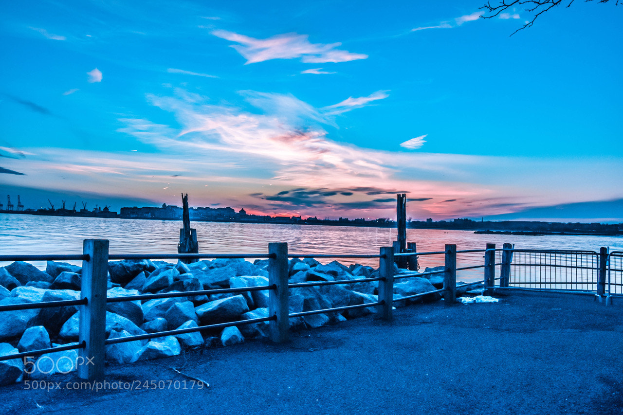 Nikon D7200 sample photo. Mixed.. photography