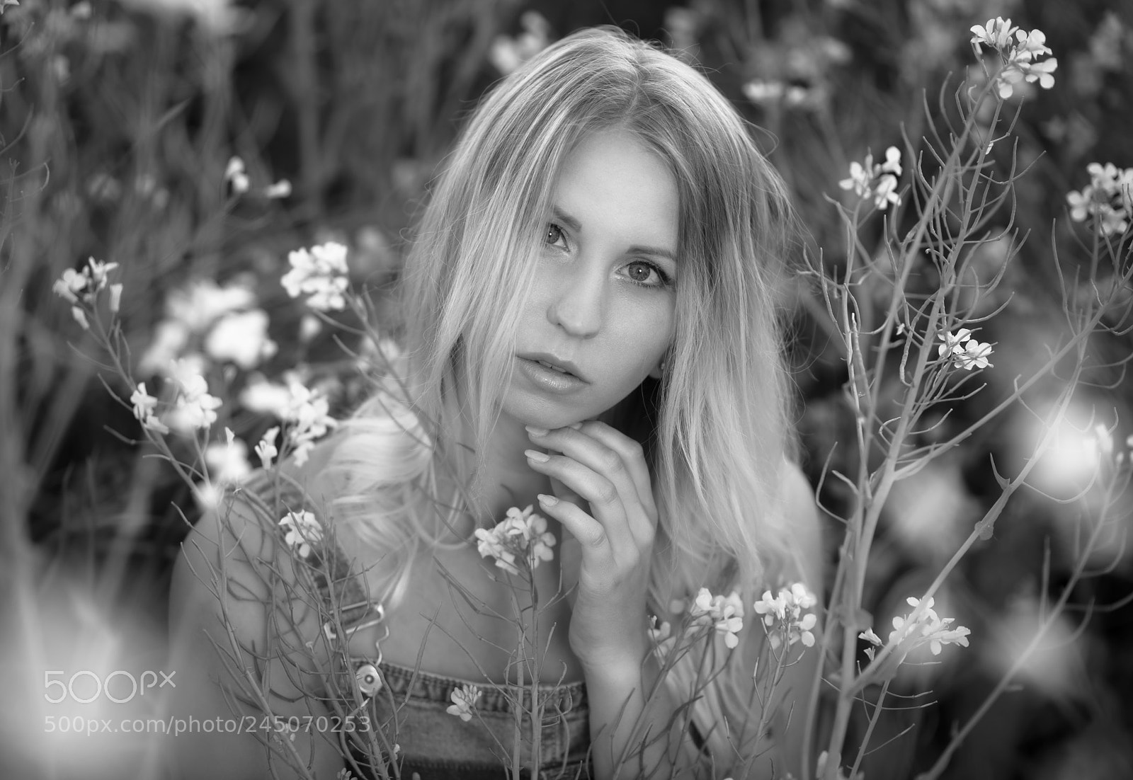 Nikon D610 sample photo. Flowers photography