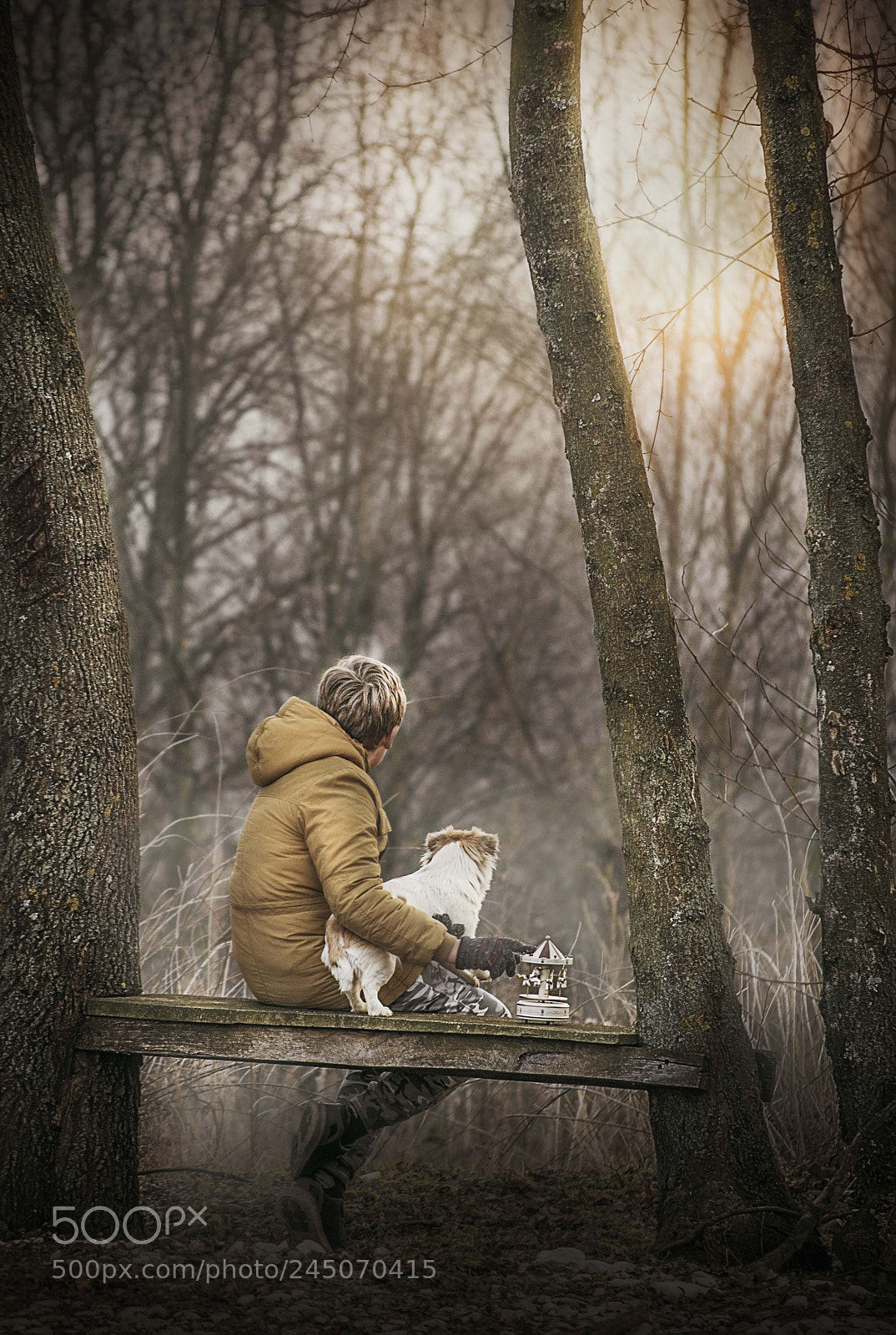 Nikon D3100 sample photo. Sunset in the wood photography