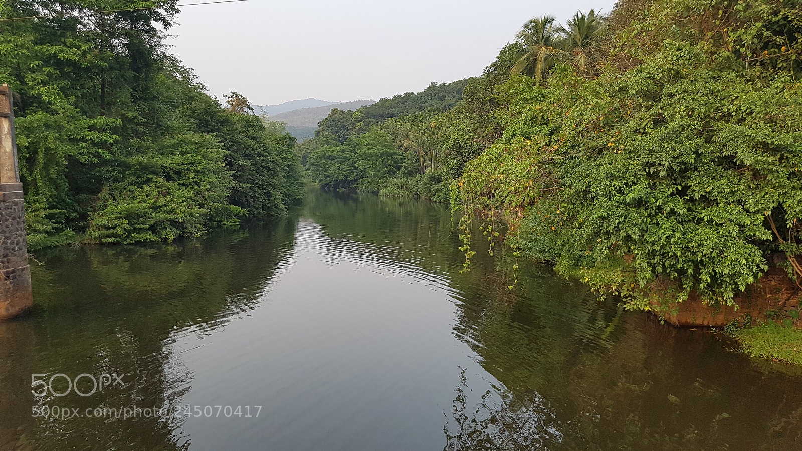 Samsung Galaxy S7 sample photo. Nature photography