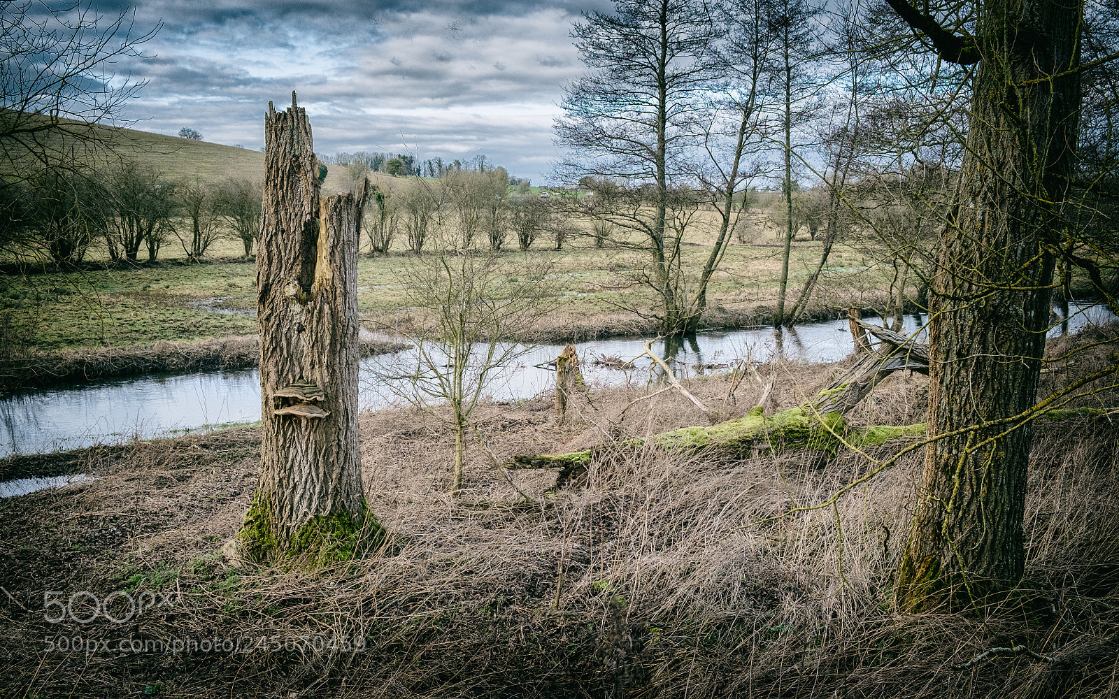 Fujifilm X-Pro1 sample photo. Tank tracks no2 photography