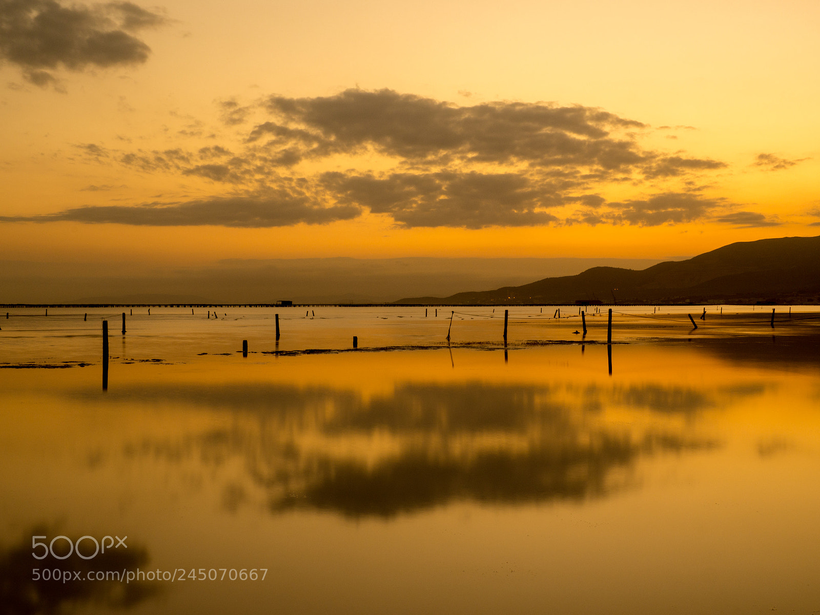Olympus OM-D E-M10 II sample photo. Atardecer en el delta photography