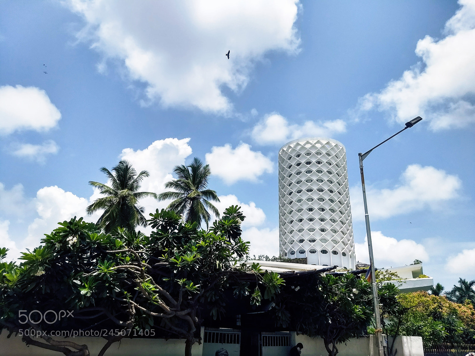 Motorola Moto G (5) Plus sample photo. Jovial photography