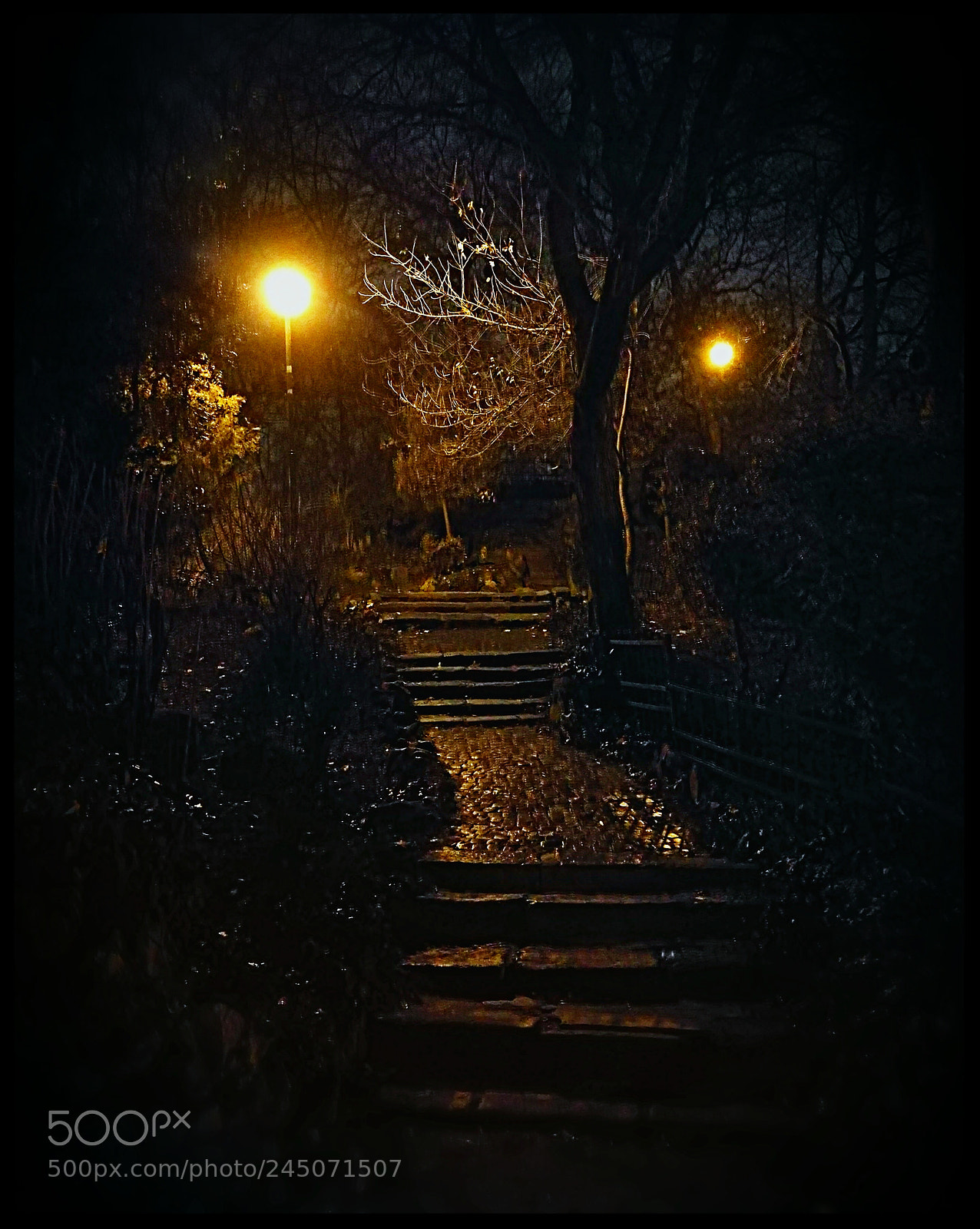 HUAWEI P9 sample photo. The wayward path photography