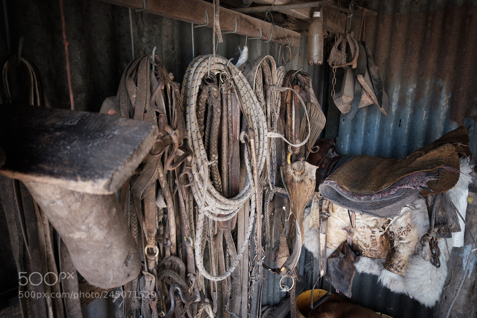 Fujifilm X-T20 sample photo. Riding gear photography