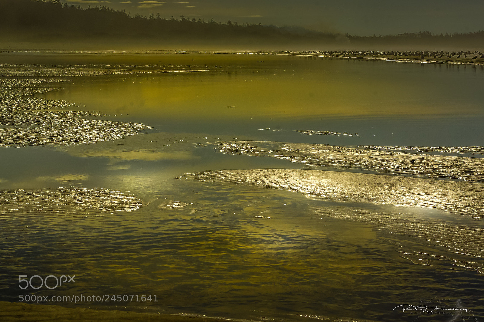 Pentax K200D sample photo. Mysterious beach light photography