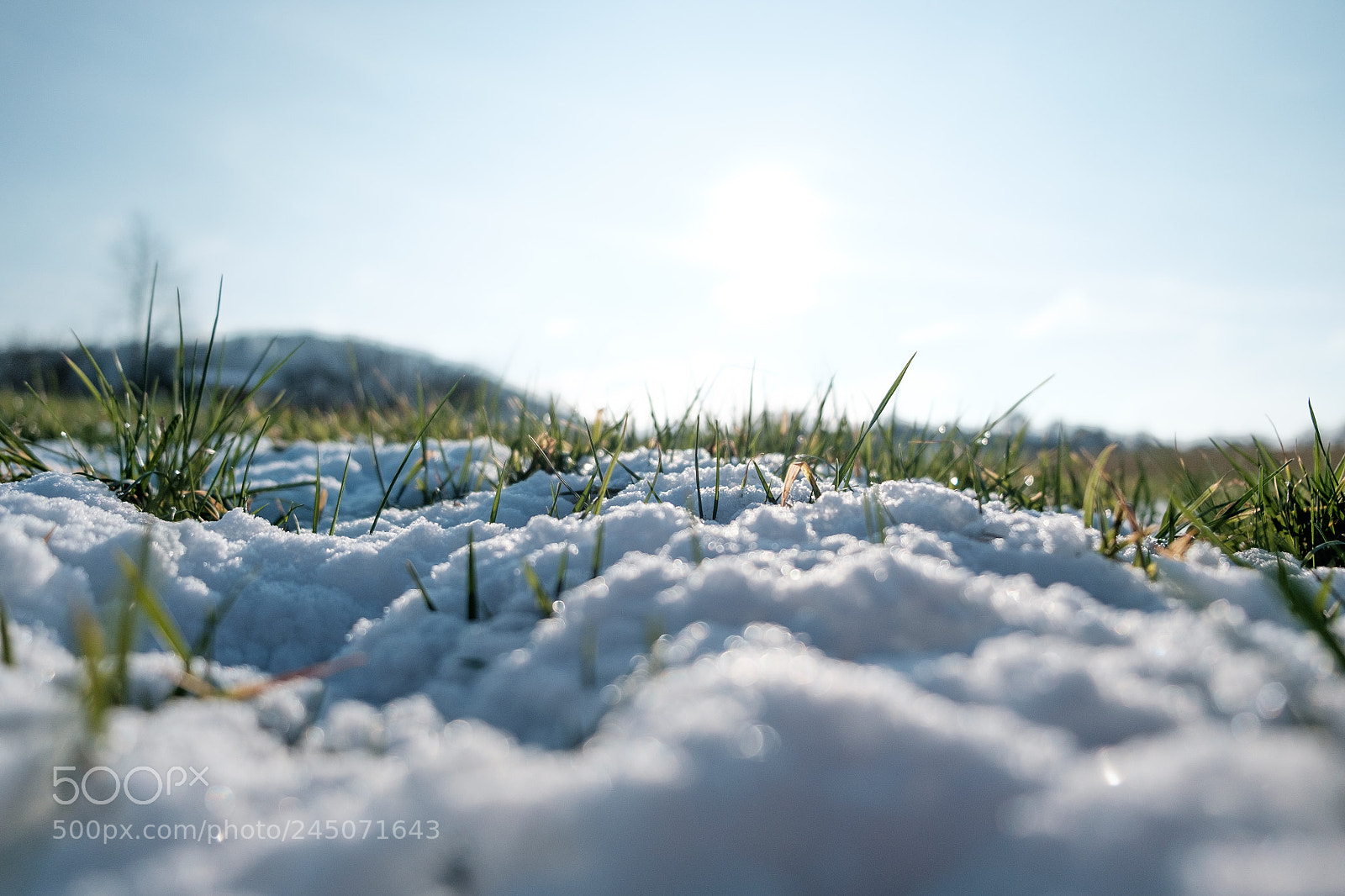 Fujifilm X-T10 sample photo. Untitled photography