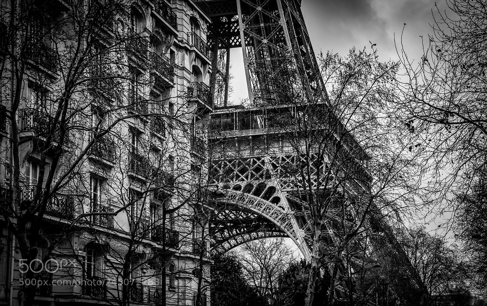 Nikon D500 sample photo. La tour eiffel photography